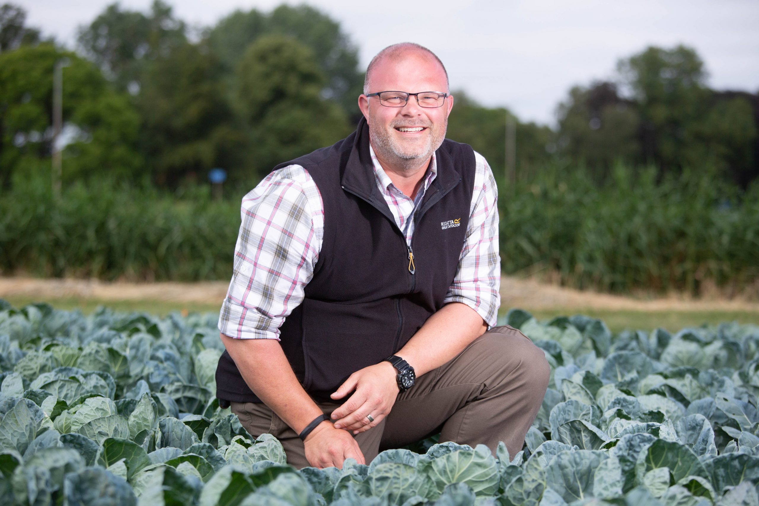 Potential New Herbicide For Brassicas Identified In Trials – The 